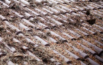 Old Stratford roof cleaning companies